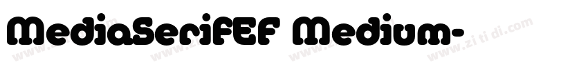 MediaSerifEF Medium字体转换